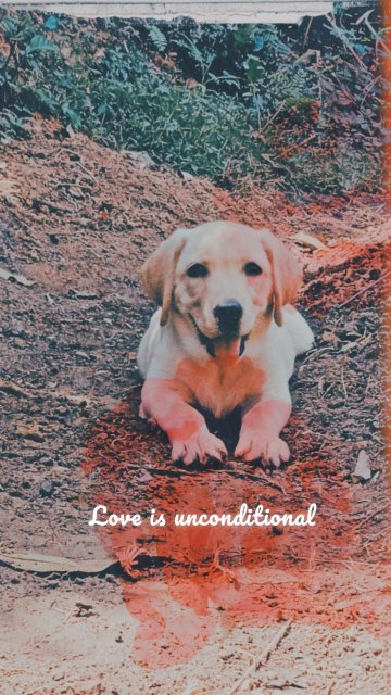 Love is unconditional